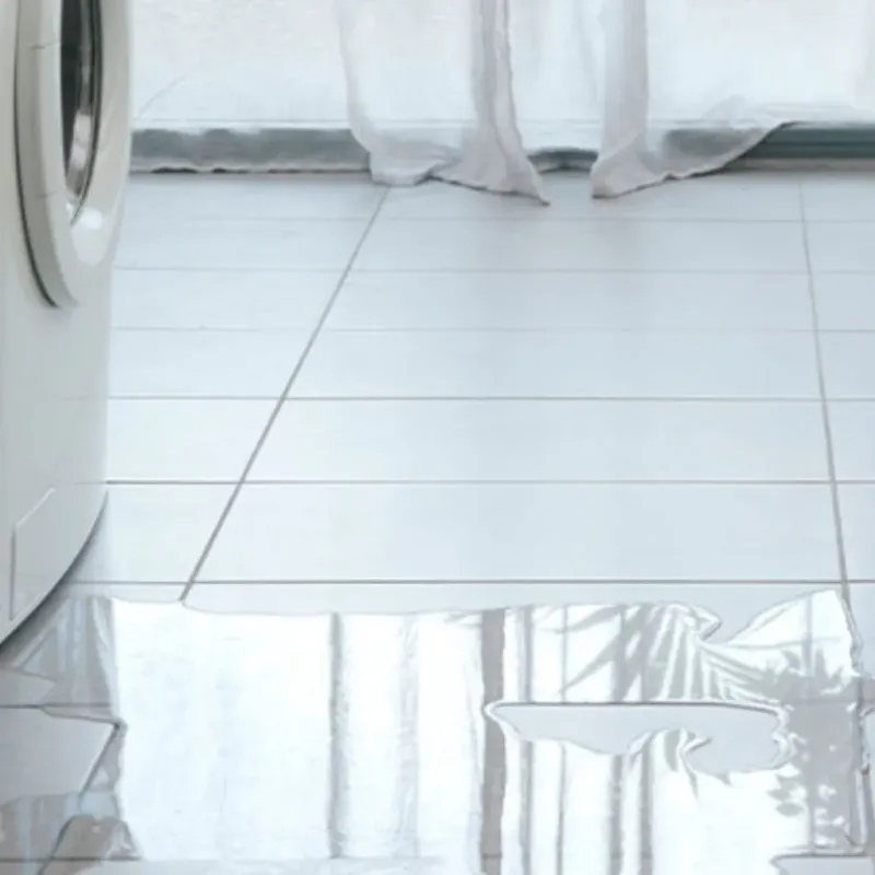 Appliance Leak Cleanup in Golden Valley, MN