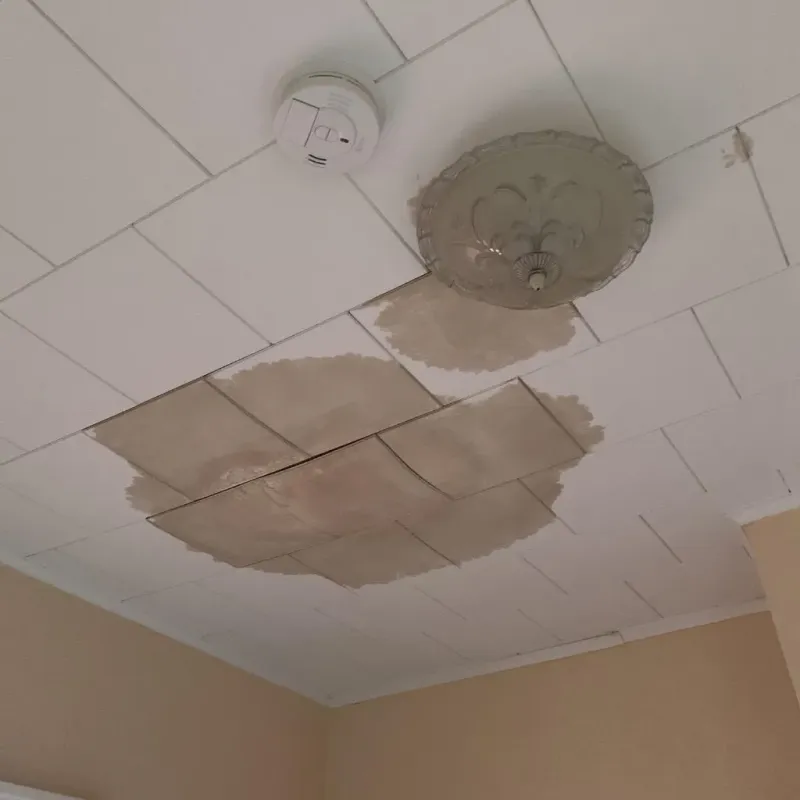 Ceiling Water Damage Repair in Golden Valley, MN