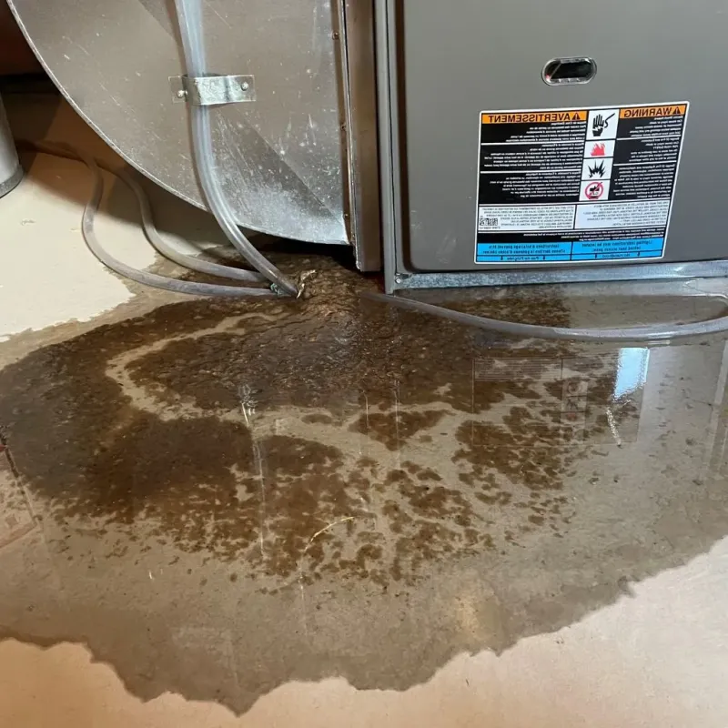 Pipe Burst and Leak Restoration in Golden Valley, MN